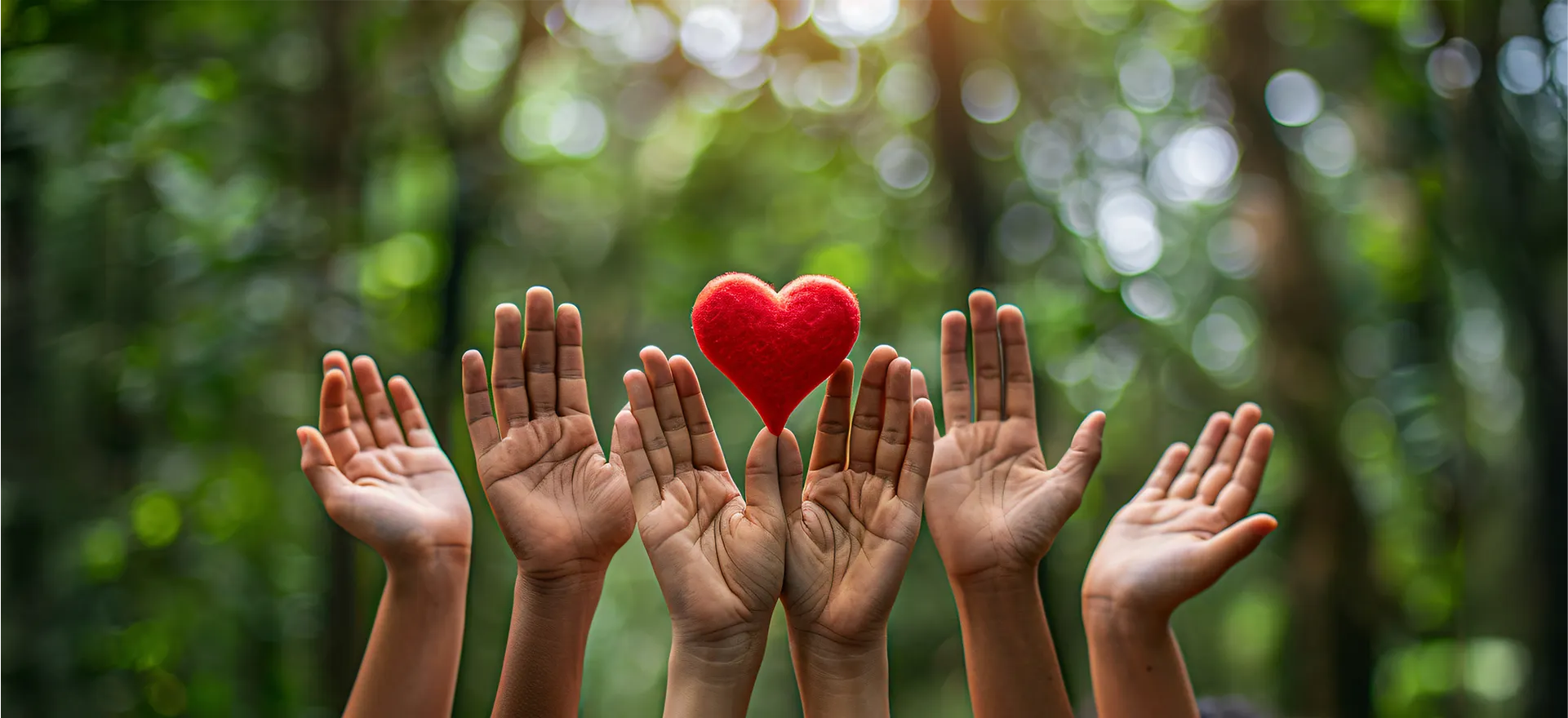 Non_Profit_Banner-2-1